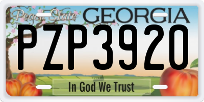 GA license plate PZP3920