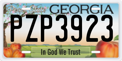 GA license plate PZP3923
