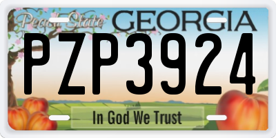 GA license plate PZP3924