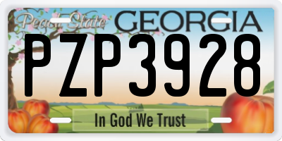 GA license plate PZP3928