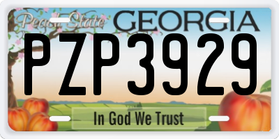 GA license plate PZP3929