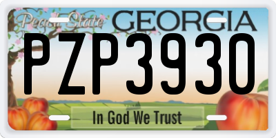GA license plate PZP3930