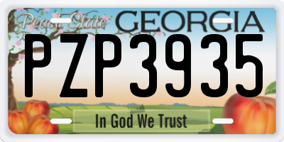 GA license plate PZP3935