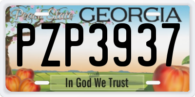 GA license plate PZP3937