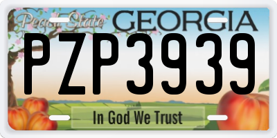GA license plate PZP3939