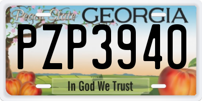 GA license plate PZP3940