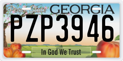 GA license plate PZP3946