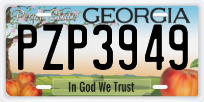 GA license plate PZP3949