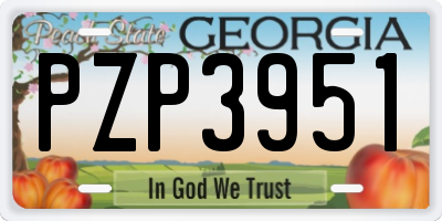 GA license plate PZP3951