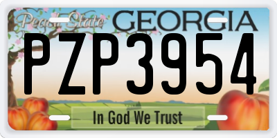 GA license plate PZP3954