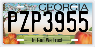GA license plate PZP3955