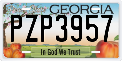 GA license plate PZP3957