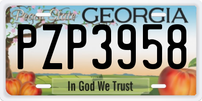 GA license plate PZP3958