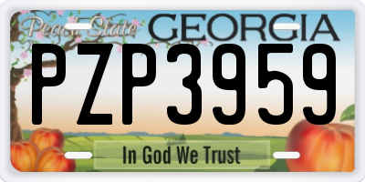 GA license plate PZP3959