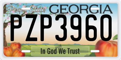 GA license plate PZP3960