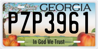 GA license plate PZP3961