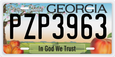 GA license plate PZP3963