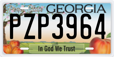 GA license plate PZP3964
