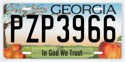 GA license plate PZP3966