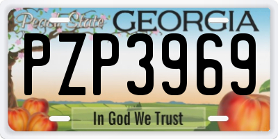 GA license plate PZP3969
