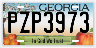 GA license plate PZP3973