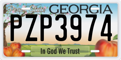 GA license plate PZP3974