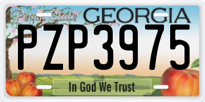 GA license plate PZP3975
