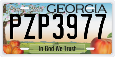 GA license plate PZP3977