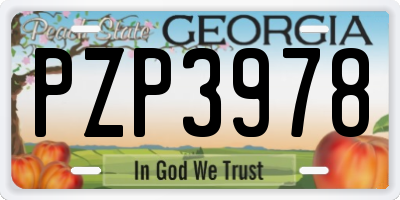 GA license plate PZP3978
