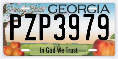 GA license plate PZP3979