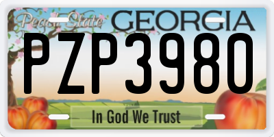 GA license plate PZP3980