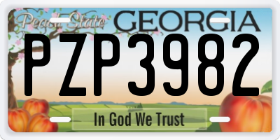 GA license plate PZP3982