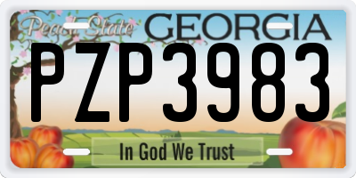 GA license plate PZP3983