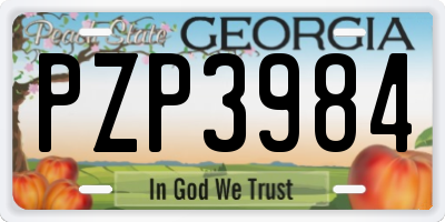 GA license plate PZP3984