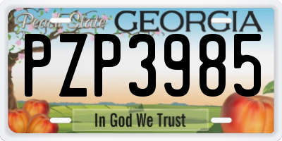 GA license plate PZP3985