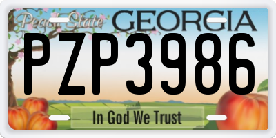 GA license plate PZP3986