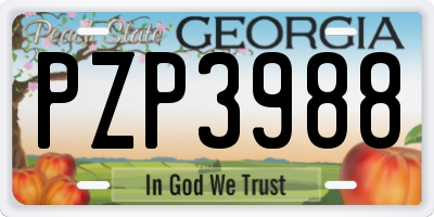 GA license plate PZP3988