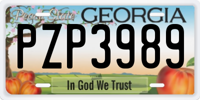 GA license plate PZP3989