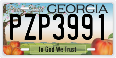 GA license plate PZP3991