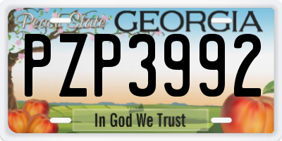 GA license plate PZP3992
