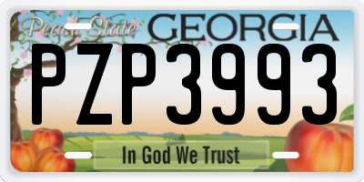 GA license plate PZP3993
