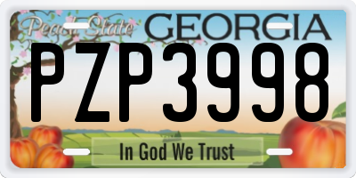 GA license plate PZP3998