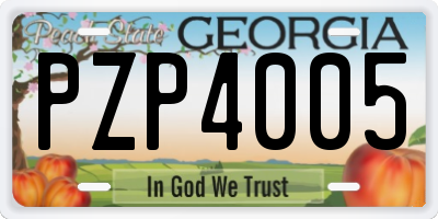 GA license plate PZP4005