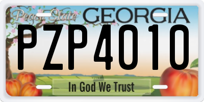 GA license plate PZP4010