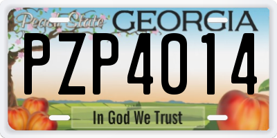 GA license plate PZP4014