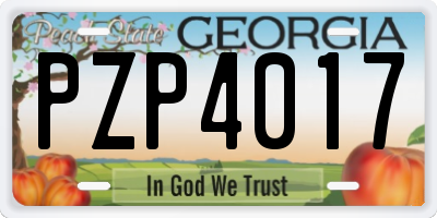 GA license plate PZP4017