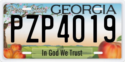 GA license plate PZP4019