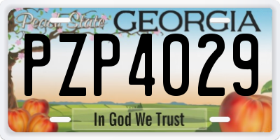 GA license plate PZP4029