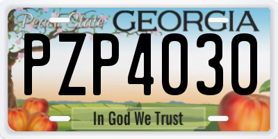 GA license plate PZP4030