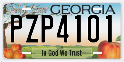 GA license plate PZP4101